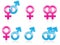 Gender Symbol Icons EPS