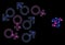 Gender Symbols - Bright Web Net with Glare Spots