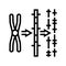 gene mapping cryptogenetics line icon vector illustration
