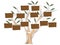 Genealogical tree