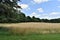 The General Field in Summer, Town of  Groton, Middlesex County, Massachusetts, United States