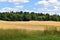 The General Field in Summer, Town of Groton, Middlesex County, Massachusetts, United States