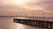 General Flores Pier, in front of the industrial loading dock of Nueva Palmira, on the Uruguay River. Nueva Palmira, Uruguay