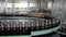 general shot of packing workshop of beer factory, bottles are moving on conveyor