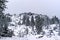 General view from below to the Buddhist monastery of Shad Tchup Ling in the Ural Mountains