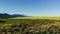 General view of countryside landscape with cloudless sky