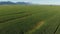 General view of countryside landscape with cloudless sky