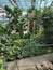 General view of the greenhouse of tropical plants