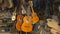 General view of a guitar workshop with hanging wooden guitars and many unassembled parts on the carpentry table