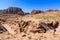 General view at Petra the ancient City Al Khazneh in Jordan