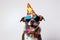 Generate AI. Cute dog at a birthday party wearing party hat and glasses. Happy Birthday party concept. Funny cute dog collie weari