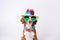 Generate AI. Cute dog at a birthday party wearing party hat and glasses. Happy Birthday party concept. Funny cute dog collie weari