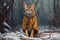 Generative AI, abyssinian cat adventurer in winter forets.