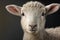 Generative AI. Animal illustration. Portrait of a spring lamb