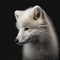Generative AI. Arctic fox (Vulpes lagopus), also known as the white fox, polar fox, or snow fox