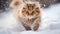 Generative AI. A beautiful cat running outside in the snow