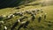 Generative AI, Beautiful green mountains landscape with flock of sheeps grazing on lush grass