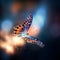 Generative AI: beautifuly butterflies as magical fairies