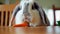 Generative AI, Bunny Bliss: A Pet Rabbit Nibbles on Carrots in a Cozy Indoor Haven