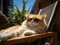 Generative AI. A cat resting on a lounger in the sun, wearing stylish sunglasses and enjoying the warm sunny weather
