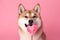 Generative AI Charming red Shiba Inu on a pink background licks a heart-shaped lollipop. Minimalistic Valentine's