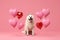 Generative AI Charming white shiba inu on a pink background with heart-shaped balloons. Minimalistic Valentine's day