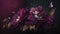 Generative AI, Close up of blooming flowerbeds of amazing viva magenta flowers on dark moody floral textured background.
