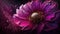 Generative AI, Close up of blooming flowerbeds of amazing viva magenta flowers on dark moody floral textured background with