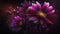 Generative AI, Close up of blooming flowerbeds of amazing viva magenta flowers on dark moody floral textured background with