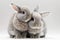 Generative AI. Close up of two cute little rabbits, hugging each other