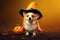 Generative AI Concept pets celebrate Halloween in costumes like people. Charming Welsh corgi Pembroke wears witch hat