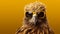 Generative AI, Cool Eagle: A Majestic Avian with Style