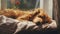 Generative AI, cute dog sleeping on cozy warm blanket near the window