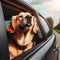 Generative AI, Dog looking out of open car window