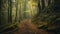 Generative AI, Enchanted Pathways: Unveiling the Mystery and Adventure of Forest Trails