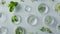 Generative AI Flat lay composition with Petri dishes and plants on light grey background business concept.