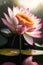 Generative AI: Fresh fantasy waterlilly in the lake close up