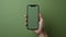 Generative AI. Hand Holding a Smartphone With Blank Screen Against a Green Background
