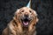 Generative ai. Happy smiling golden retriever dog with birthday hat