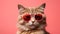 Generative AI, Hilarious Cat Sporting Sunglasses on Pastel Background