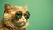 Generative AI, Hilarious Cat Sporting Sunglasses on Pastel Background