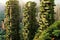 Generative AI idea of a green city, featuring skyscrapers enveloped in verdant foliage