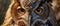 Generative AI Illustration A close up of the yellow eyes of a horned owl on a natural background