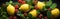 Generative ai illustration of a Creative food summer citrus fruits banner