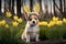Generative AI illustration of cute adorable puppy dog with fake rabbit bunny ears headband at Easter in forest landscape
