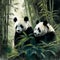 Generative AI illustration of watercolour style image of endangered giant pandas in bamboo forest jungle landscape