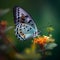 Generative AI illustrations, Closeup butterfly on flower.