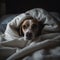 Generative AI illustrations, Stay home. Funny portrait of smilling puppy dog border collie lying in dog bed indoors.