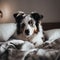 Generative AI illustrations, Stay home. Funny portrait of smilling puppy dog border collie lying in dog bed indoors.