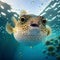 Generative AI illustrations, swimming tropical fish pufferfish